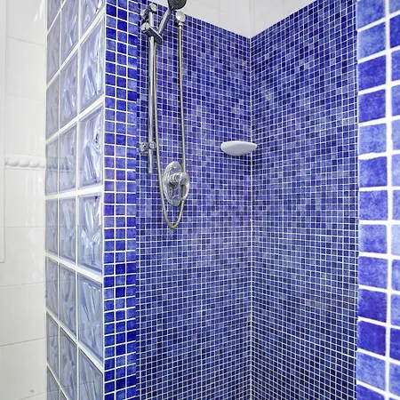 Paloma فيلة Orba