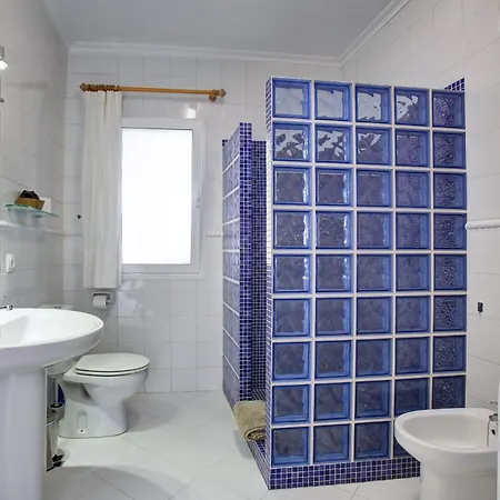 فيلة Paloma Orba